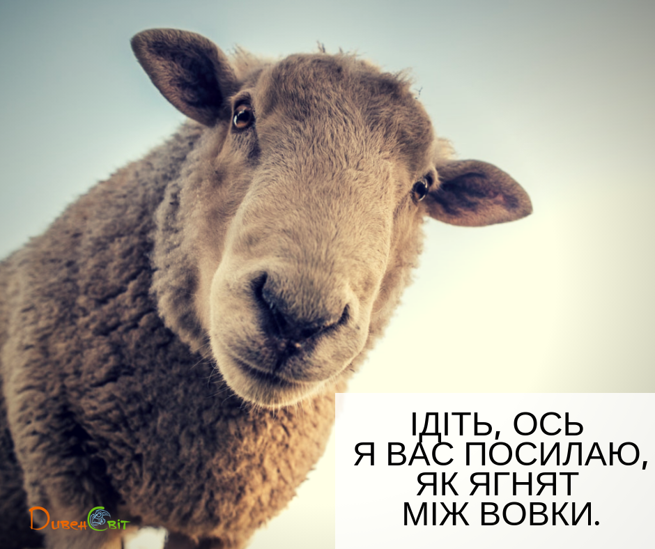 Святе Письмо з розважаннями на 26 жовтня