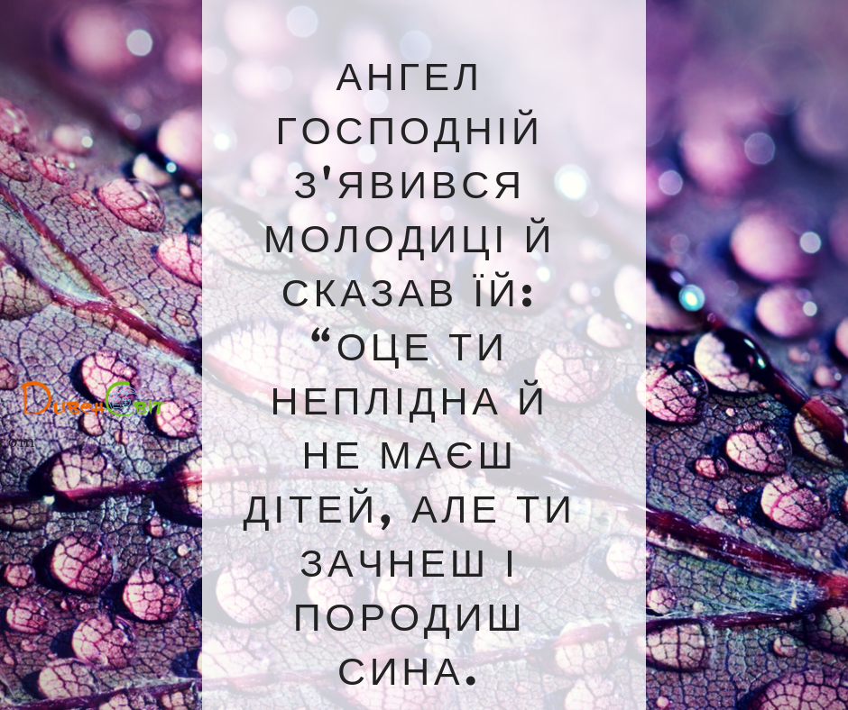 Читаємо Святе Письмо разом. Суддів 12-13