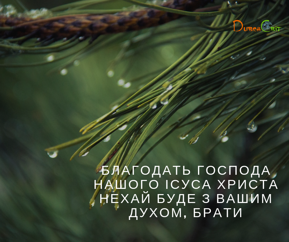 Святе Письмо з розважаннями на 28 жовтня