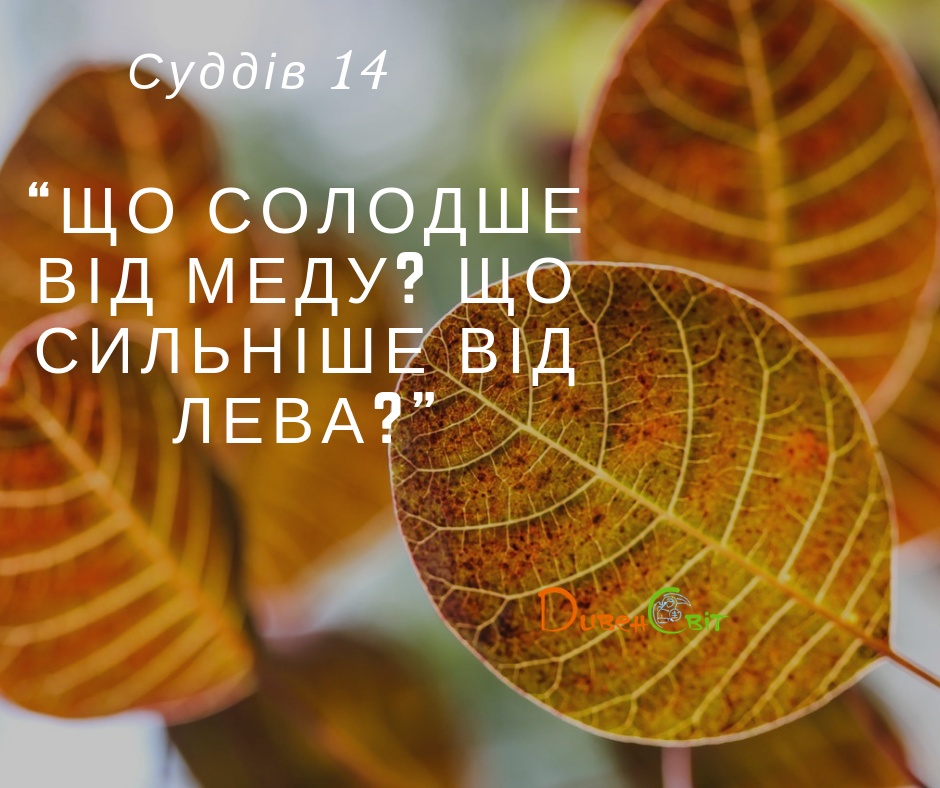 Читаємо Святе Письмо разом. Суддів 14