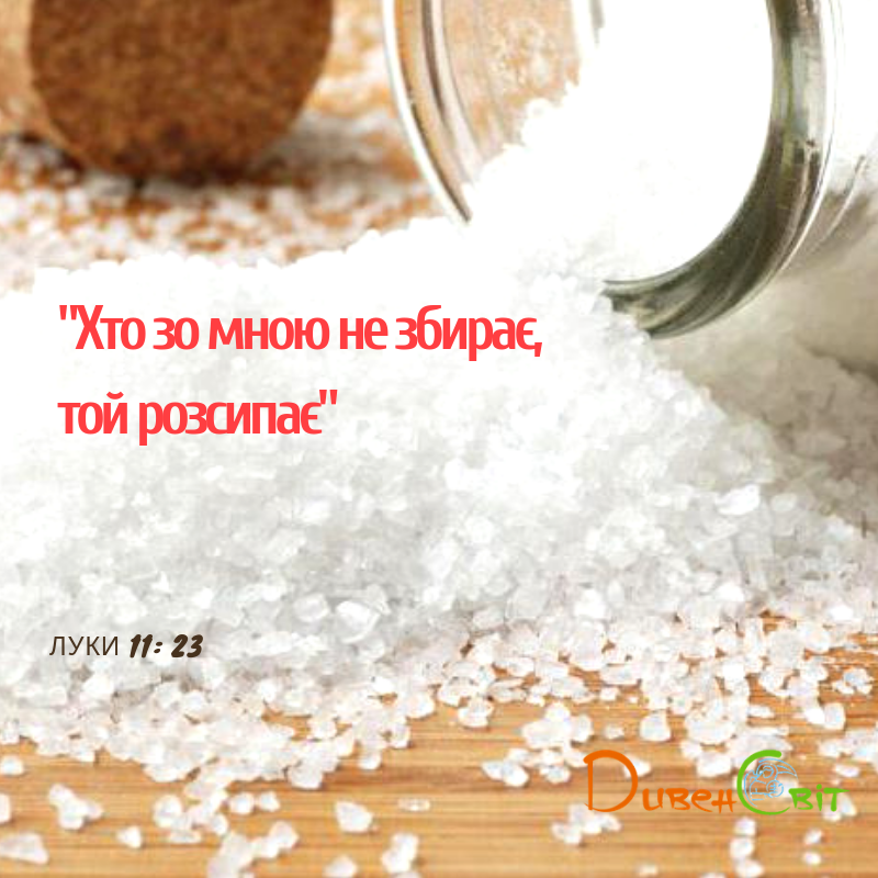 Святе Письмо з розважанням на 2 листопада