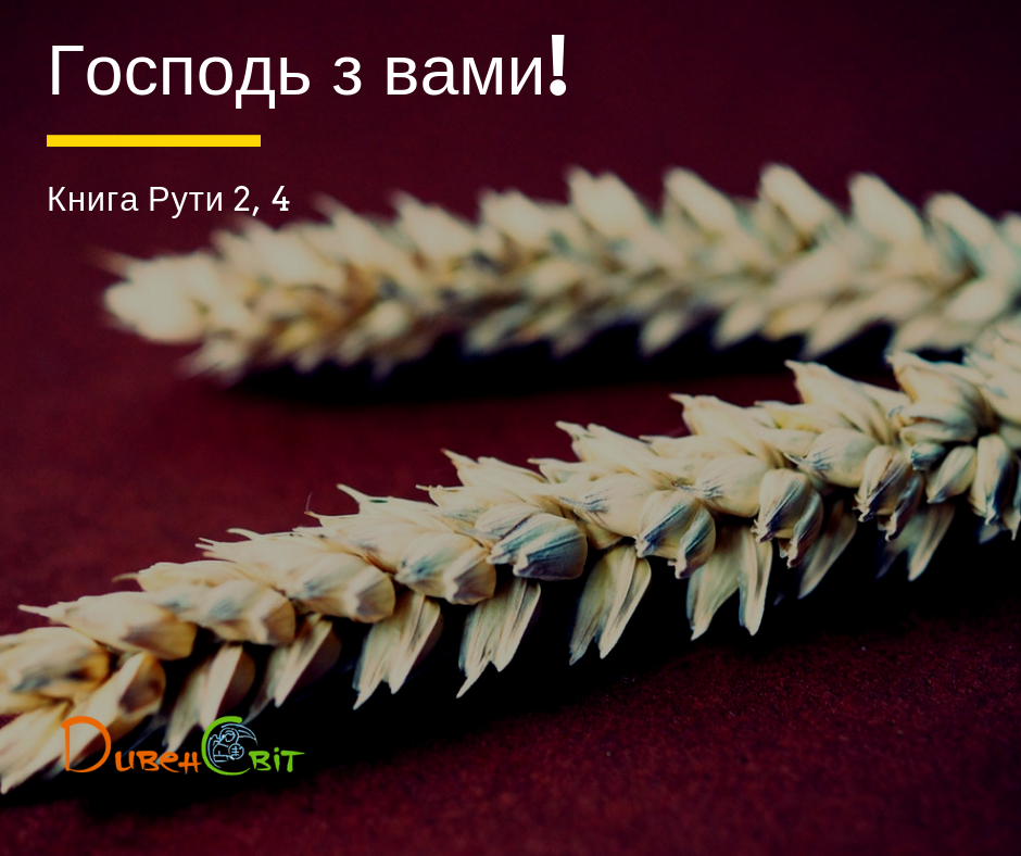 Читаємо Святе Письмо разом. Книга Рути 2