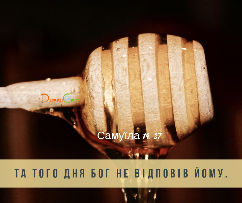 Читаємо Святе Письмо разом. Самуїла 13-14