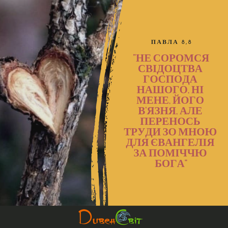 Святе Письмо з розважанням на 30 листопада