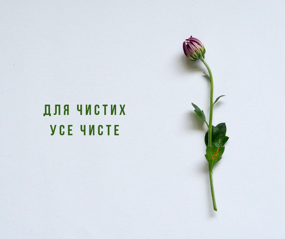 Святе Письмо з розважаннями на 6 грудня