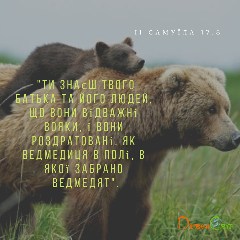 Читаємо Святе Письмо разом. ІІ Самуїла 17