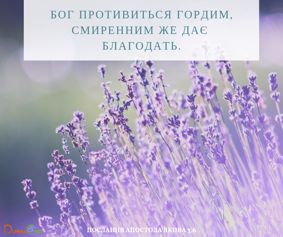 Святе Письмо з розважаннями на 6 лютого