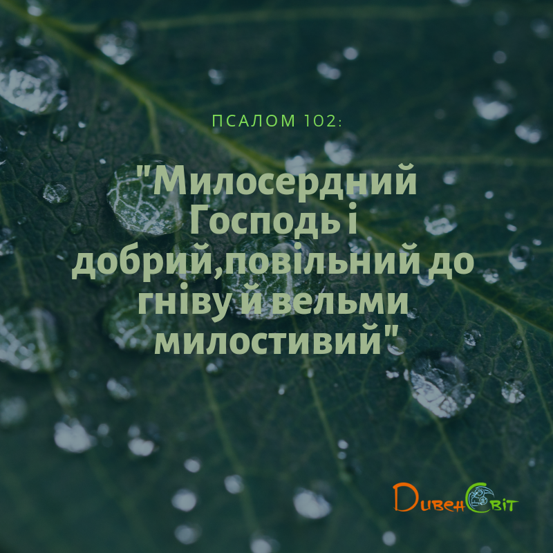 Святе Письмо з розважанням на  5 квітня