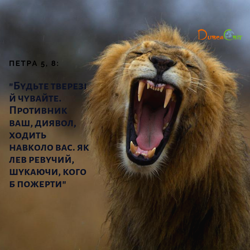 Святе Письмо з розважанням на 8 травня