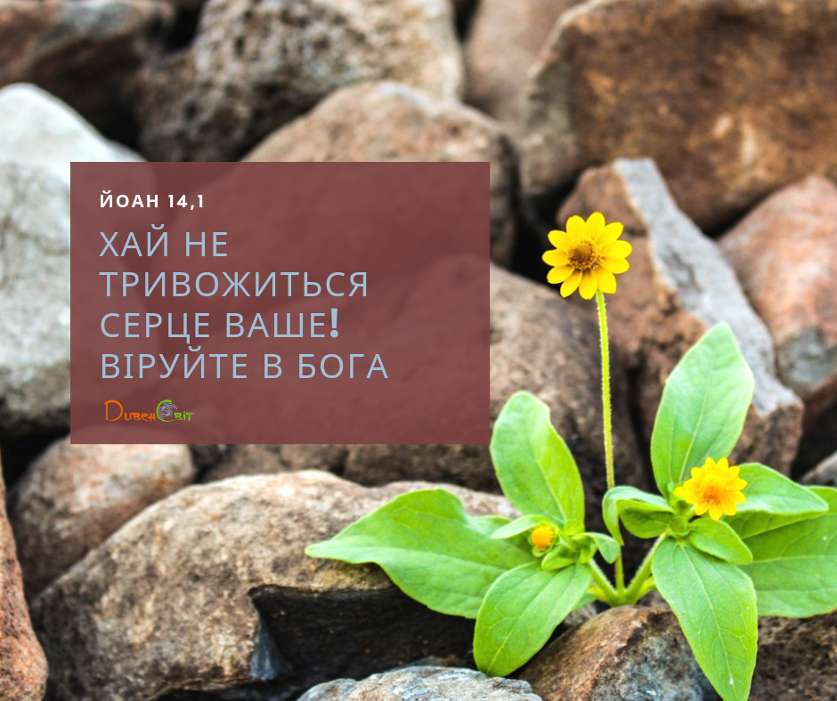 Святе Письмо з розважаннями на 7 червня