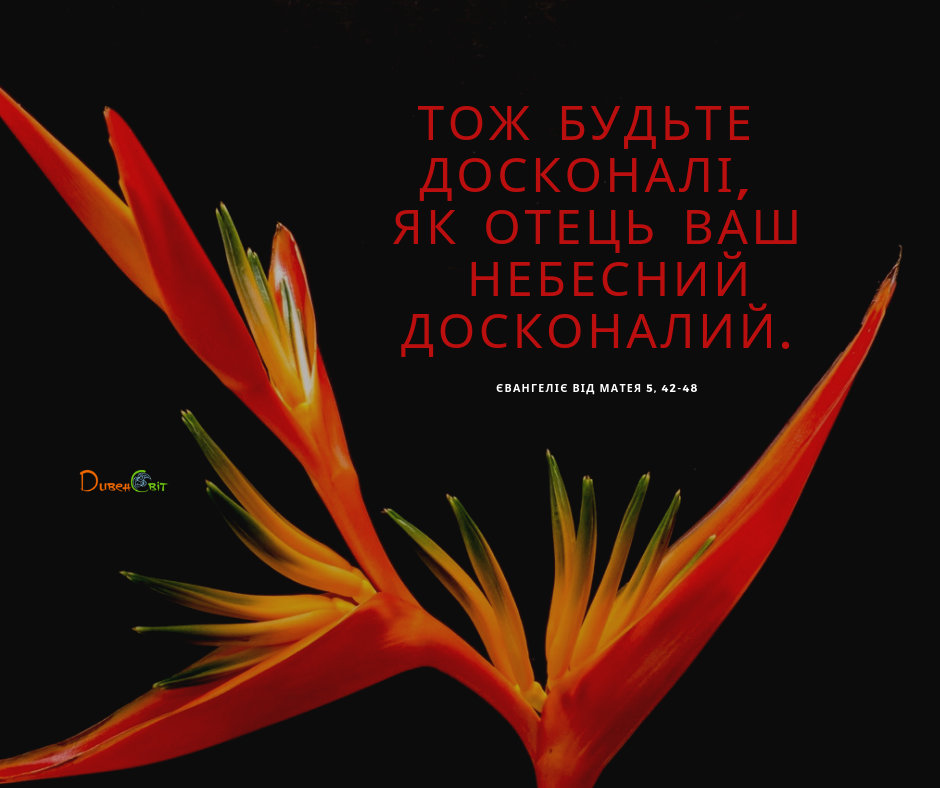 Святе Письмо з розважаннями на 22 червня