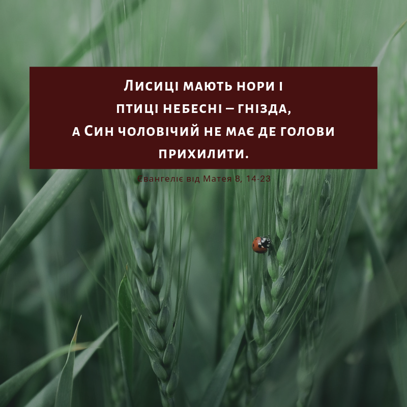 Cвяте Письмо з розважаннями на 13 липня