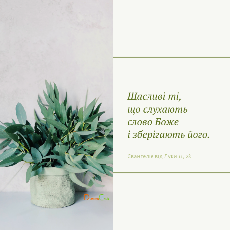 Святе Письмо з розважаннями на 15 липня
