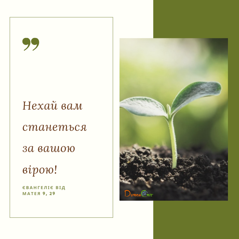Святе Письмо з розважаннями на 4 серпня