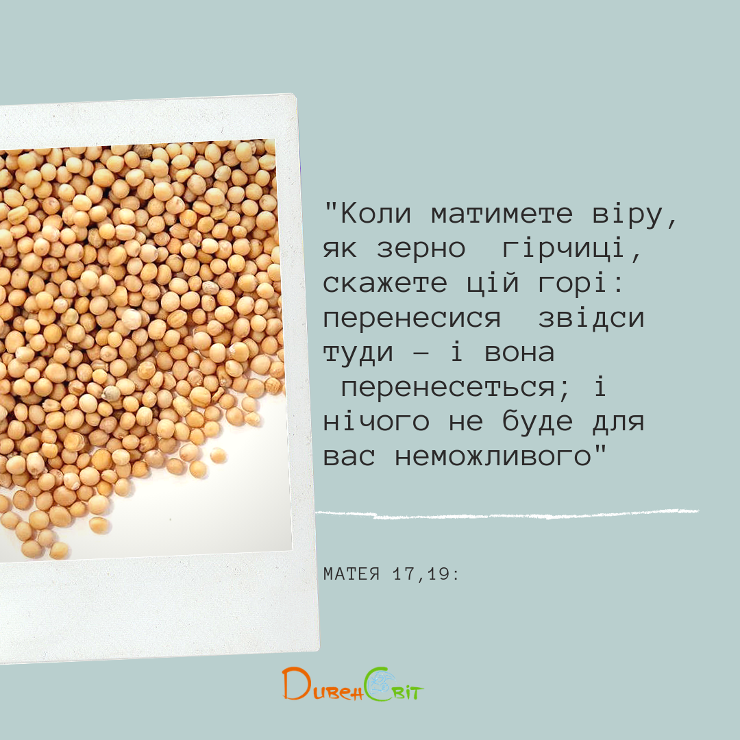 Святе Письмо з розважанням на 25 серпня