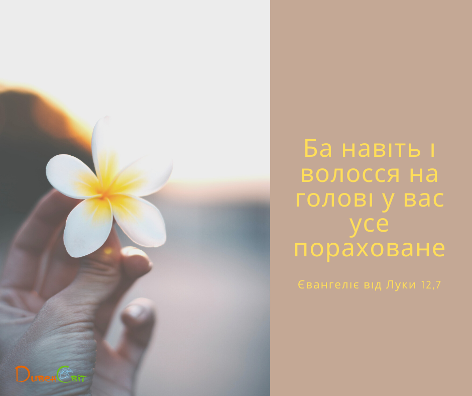 Святе Письмо з розважаннями на 29 листопада