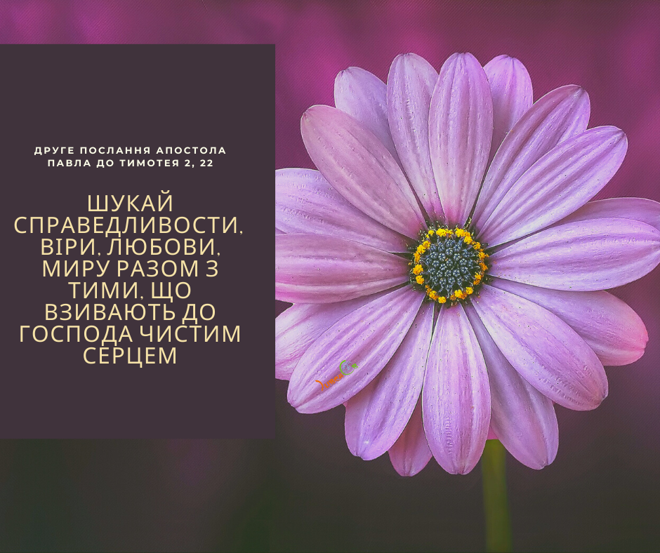 Святе Письмо з розважаннями на 23 грудня