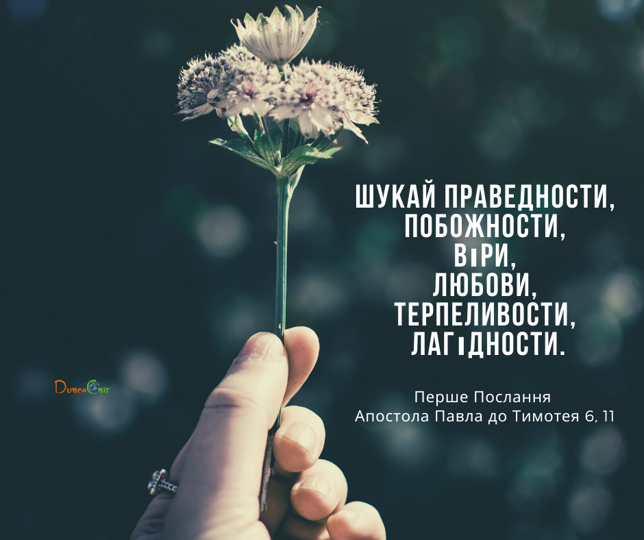 Святе Письмо з розважаннями на 11 січня