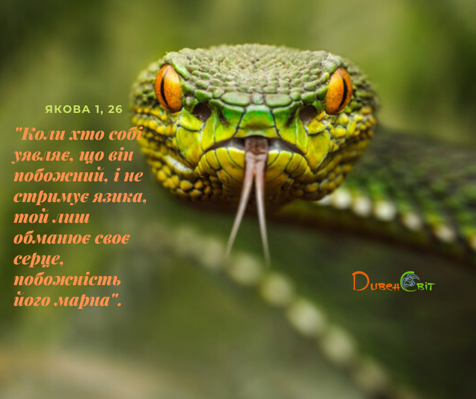 Святе Письмо з розважанням на 16 січня