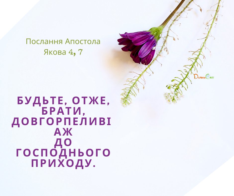 Святе Письмо з розважаннями на 23 січня