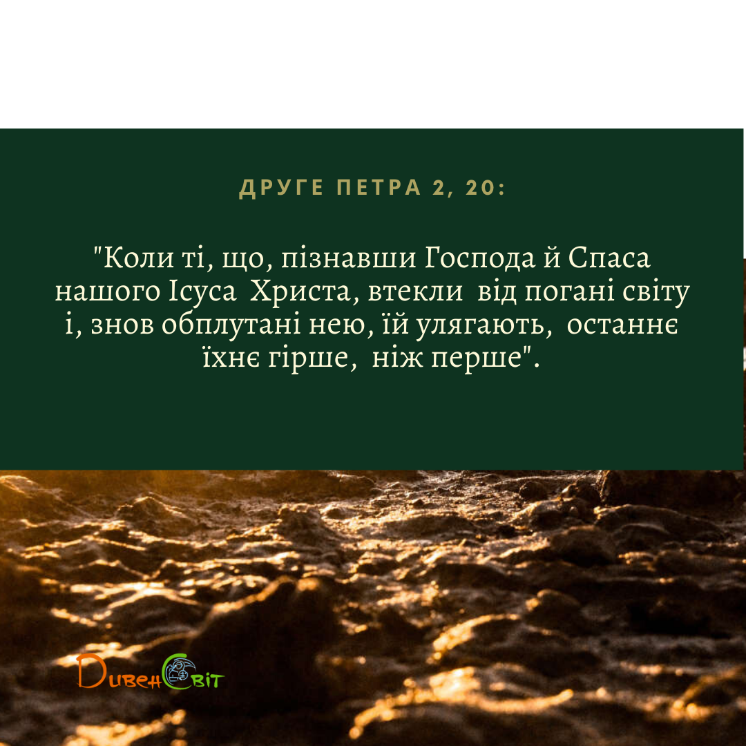 Святе Письмо з розважанням на 11 лютого