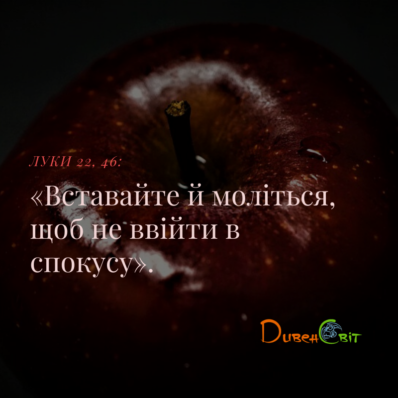 Святе Письмо з розважанням на 25 лютого