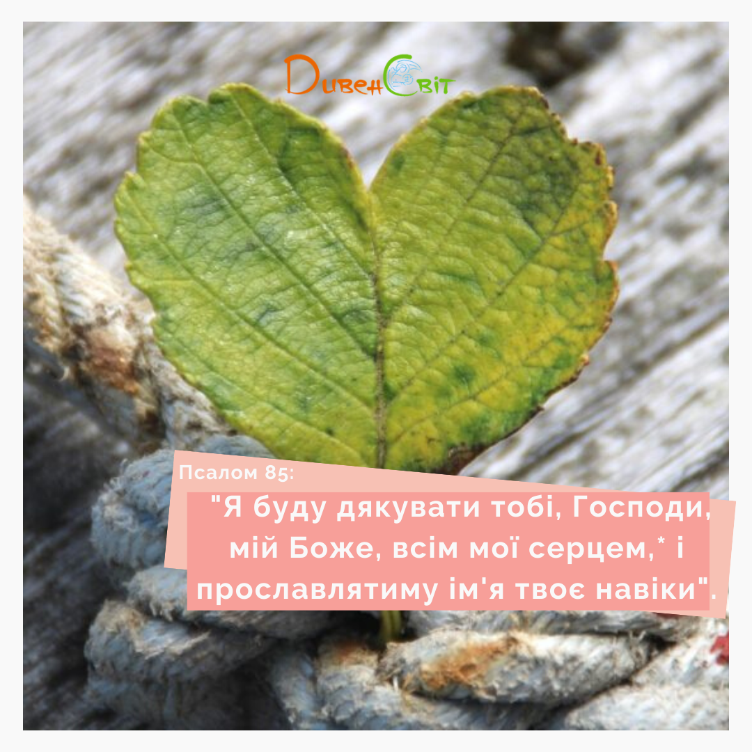 Святе Письмо з розважанням на 26 березня