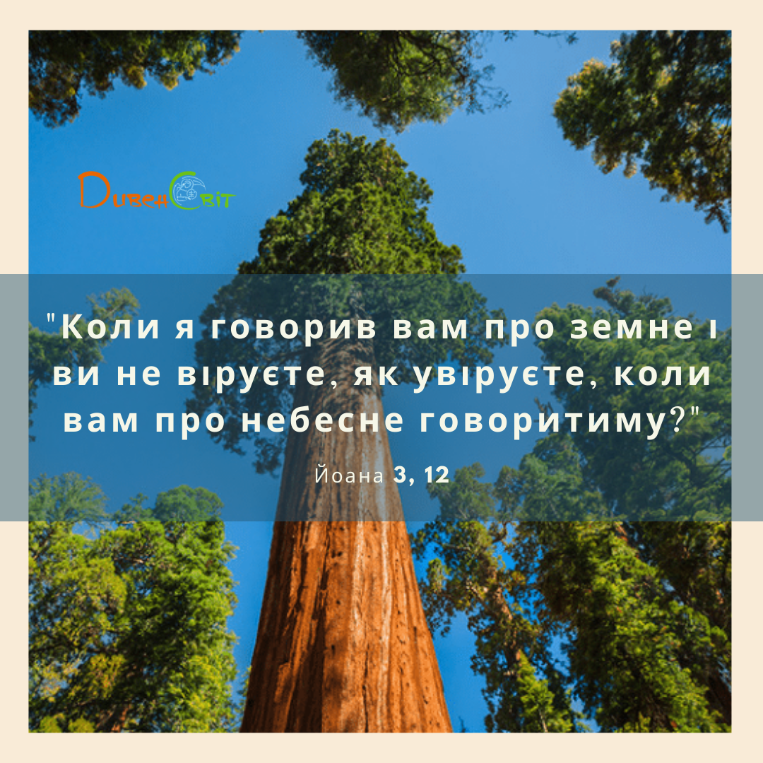 Святе Письмо з рзважанням на 23 квітня