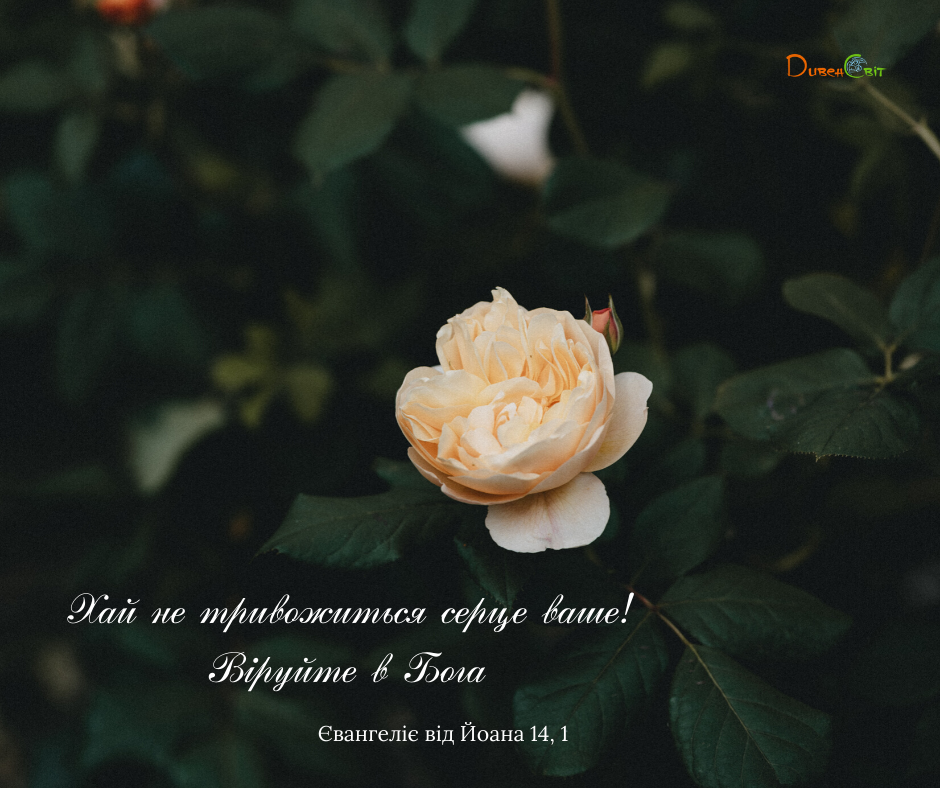 Cвяте Письмо з розважаннями на 29 травня