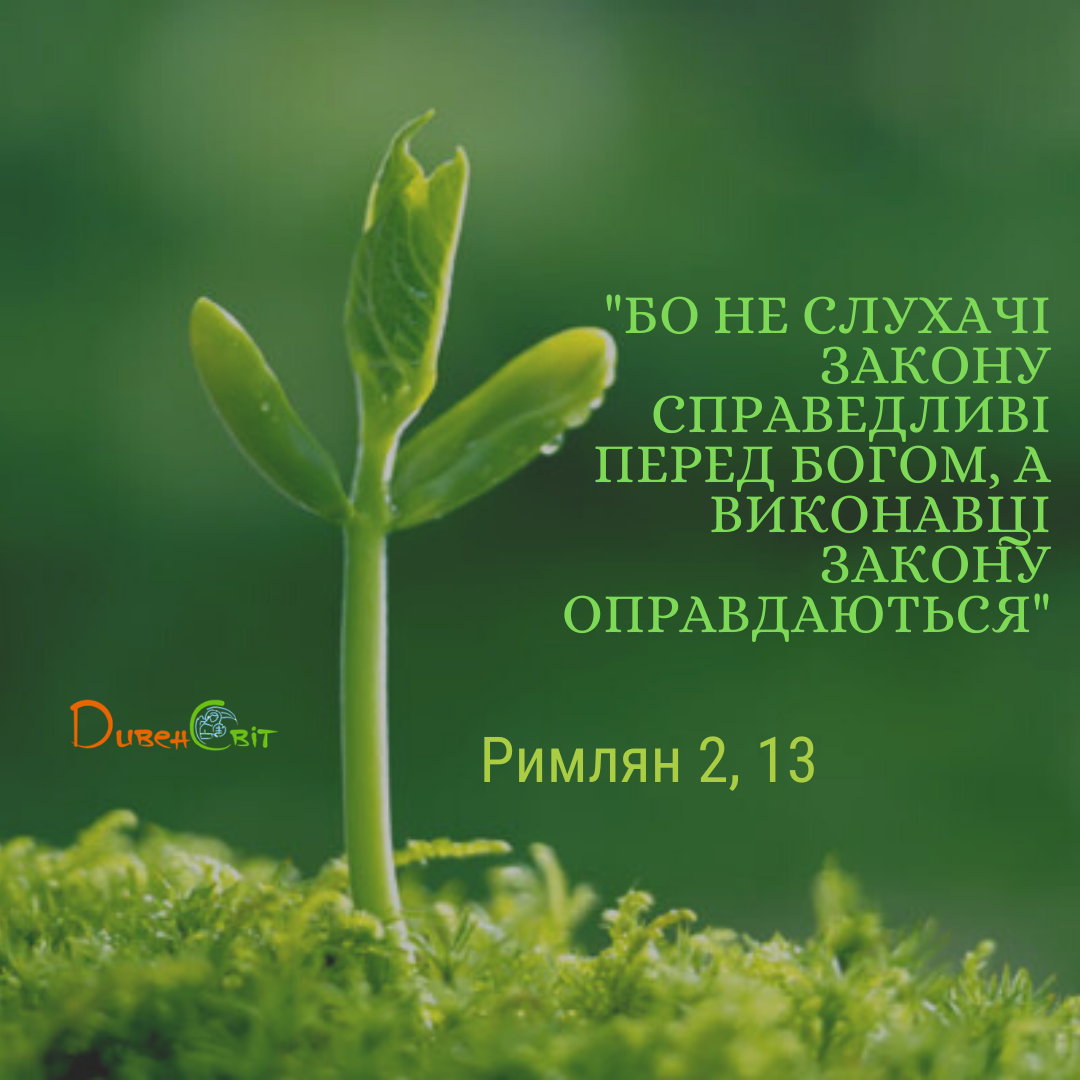Святе Письмо з розважанням на 21 червня