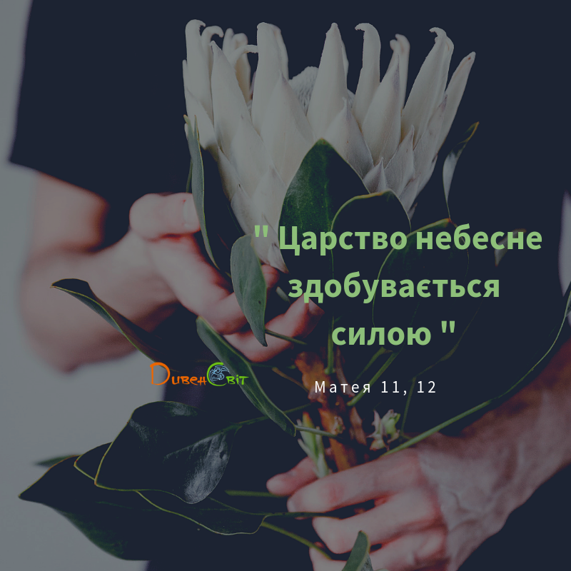 Святе Письмо з розважанням на 29 червня