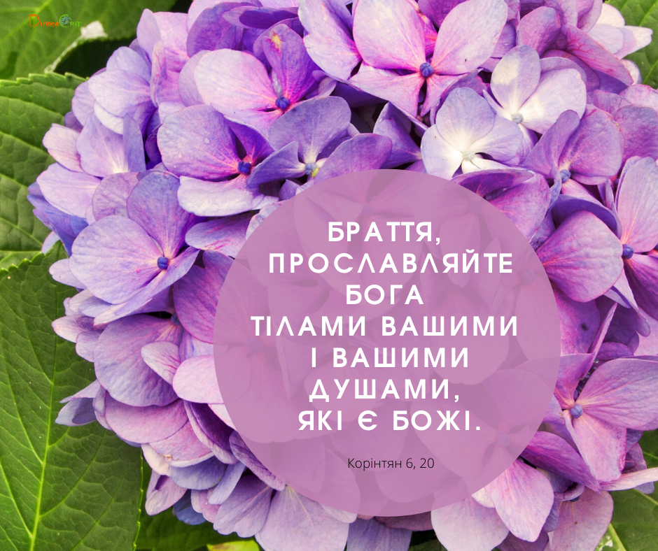 Святе Письмо з розважаннями на 21 липня