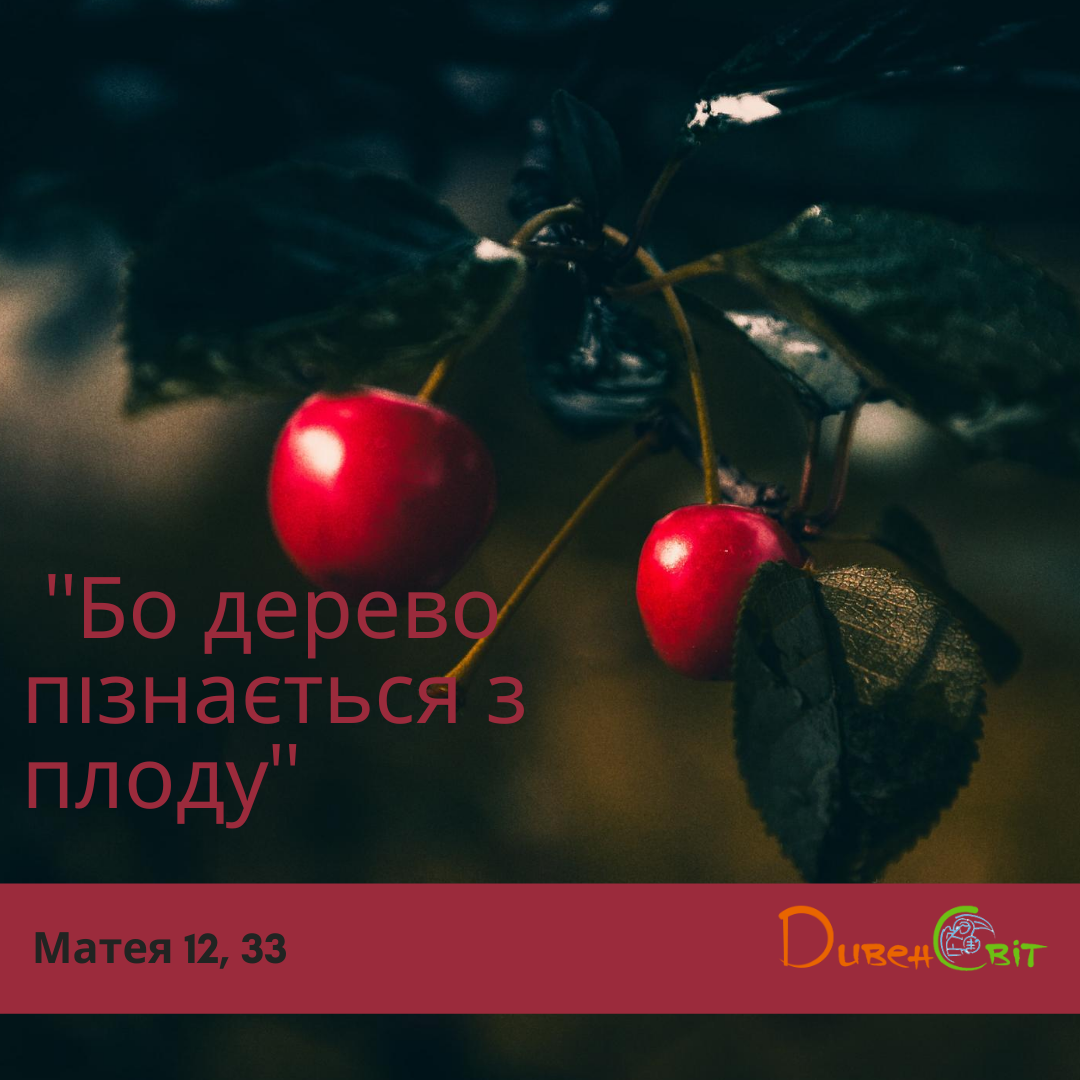 Святе Письмо з розважанням на 1 серпня