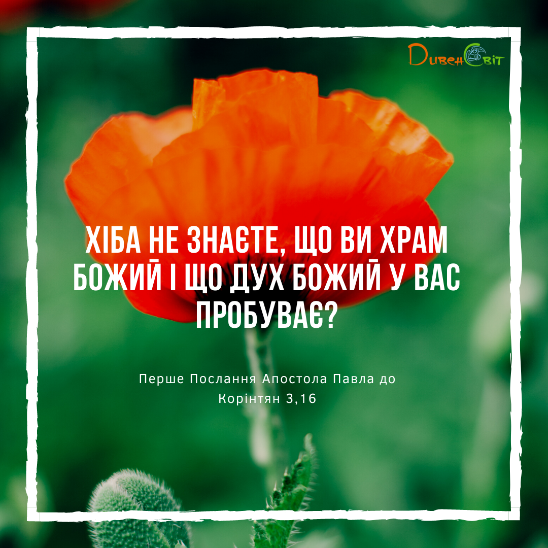 Святе Письмо з розважаннями на 9 серпня