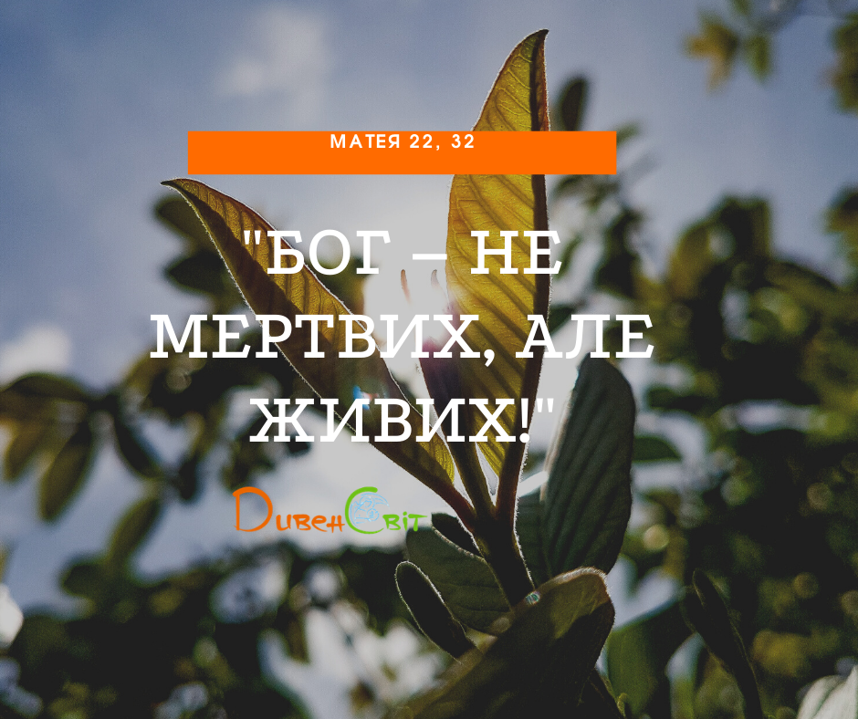 Святе Письмо з розважаннями на 14 серпня
