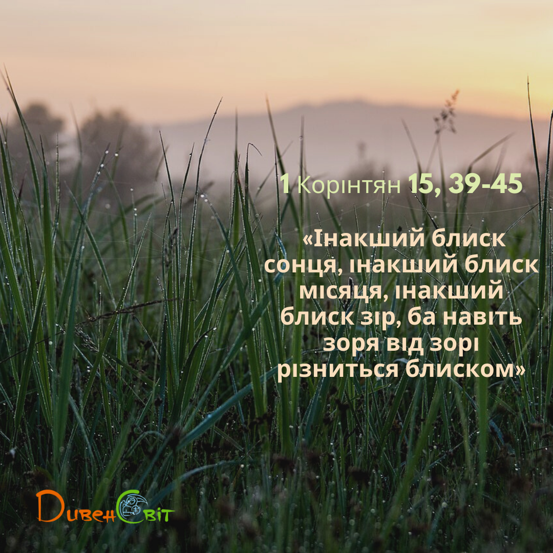Святе Письмо з розважанням на 10 жовтня