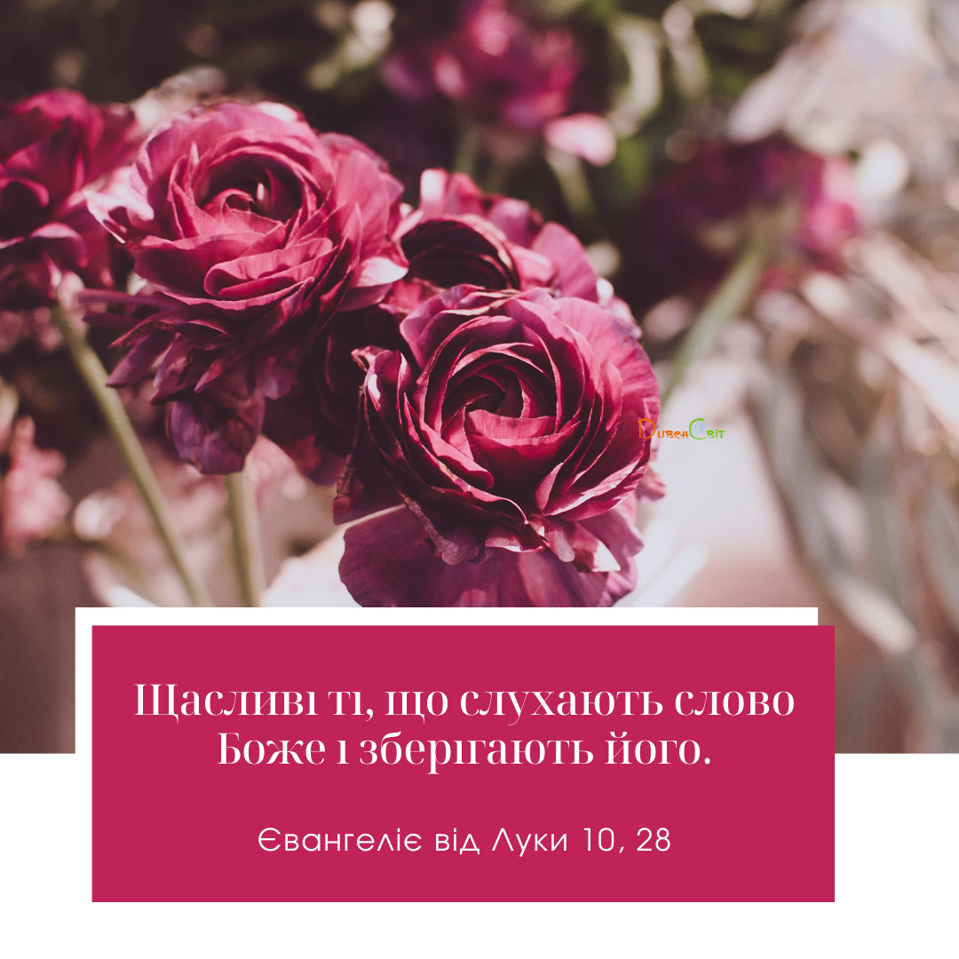 Святе Письмо з розважаннями на 14 жовтня