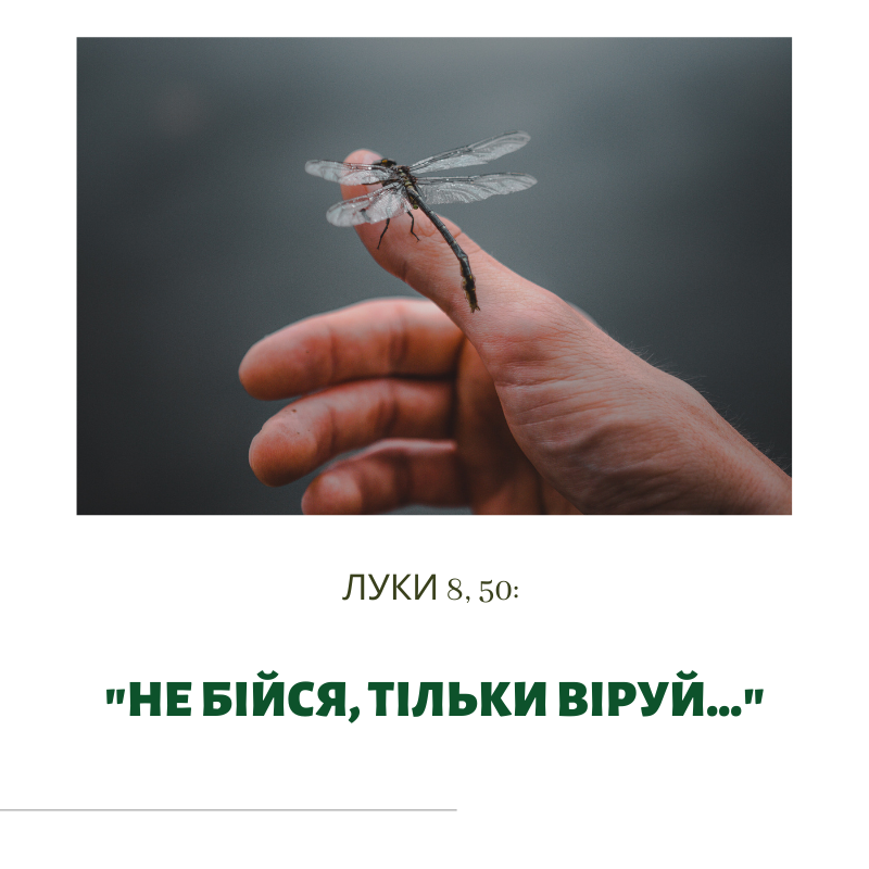Святе Письмо з розважаням на 22 листопада