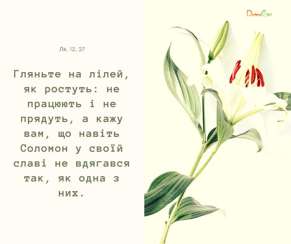 Святе Письмо з розважаннями на 23 листопада