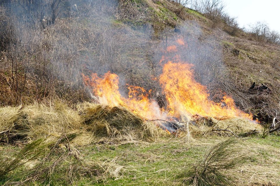 Чи стане чистою наша совість, якщо усвідомимо, що Христос пролив свою кров, а ми спричинилися до його ран своїми екологічними гріхами?