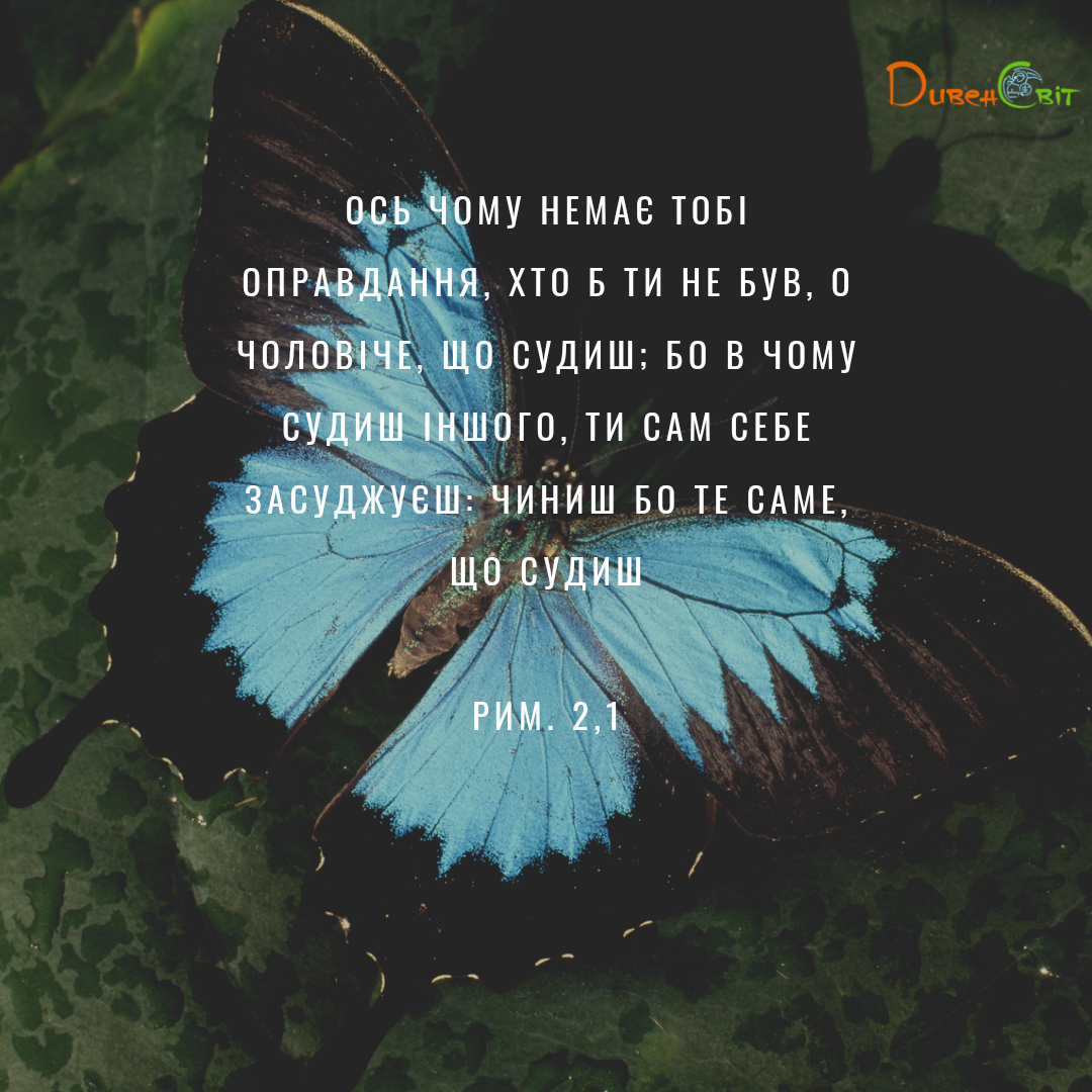 Святе Письмо з розважаннями на 24 червня
