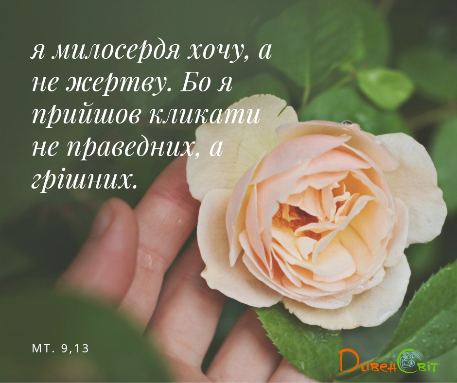 Святе Письмо з розважаннями на 24 липня