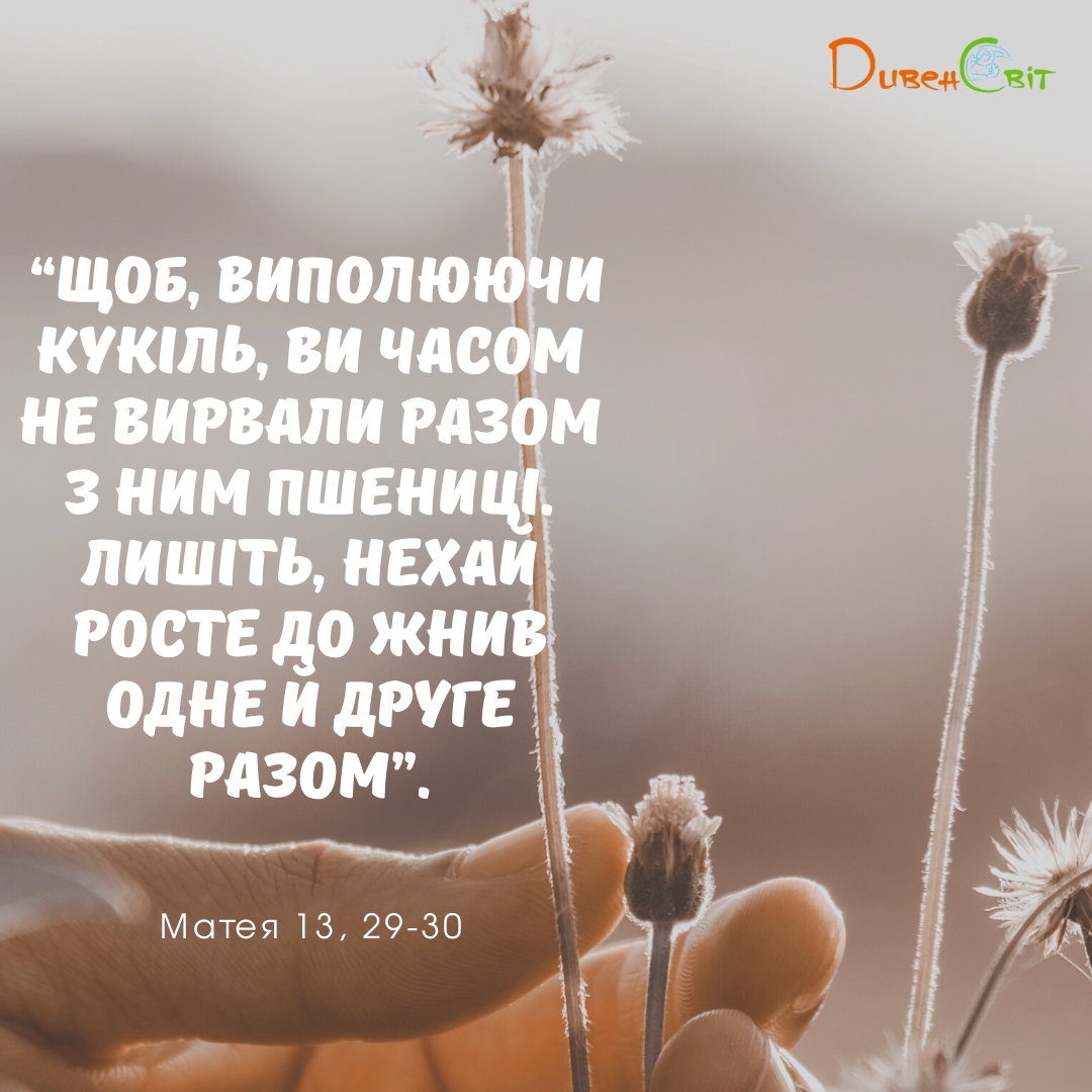 Святе Письмо з розважанням на 27 липня