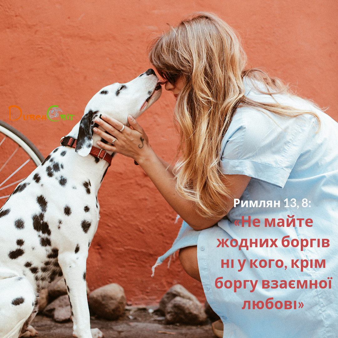Святе Письмо з розважанням на 14 серпня