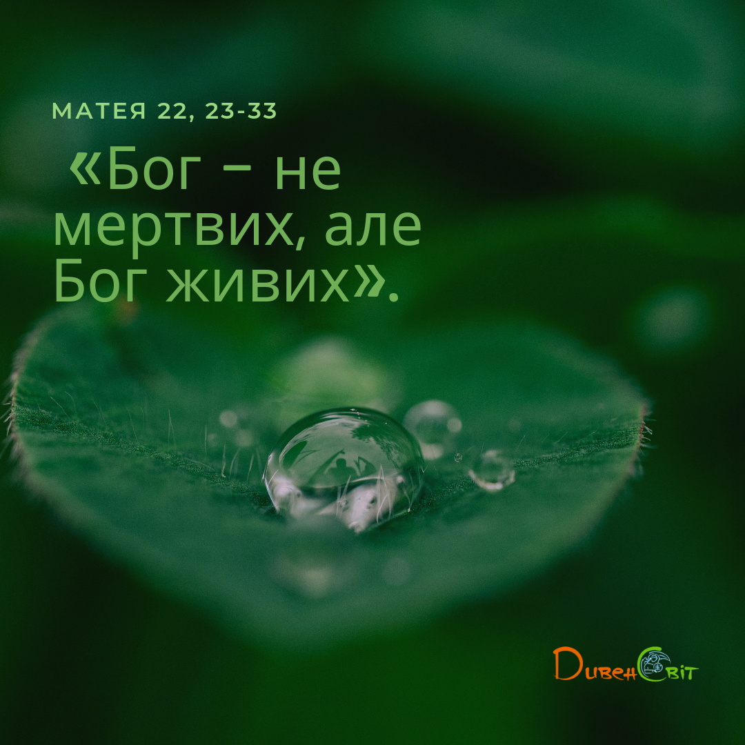 Святе Письмо з розважанням на 27 серпня