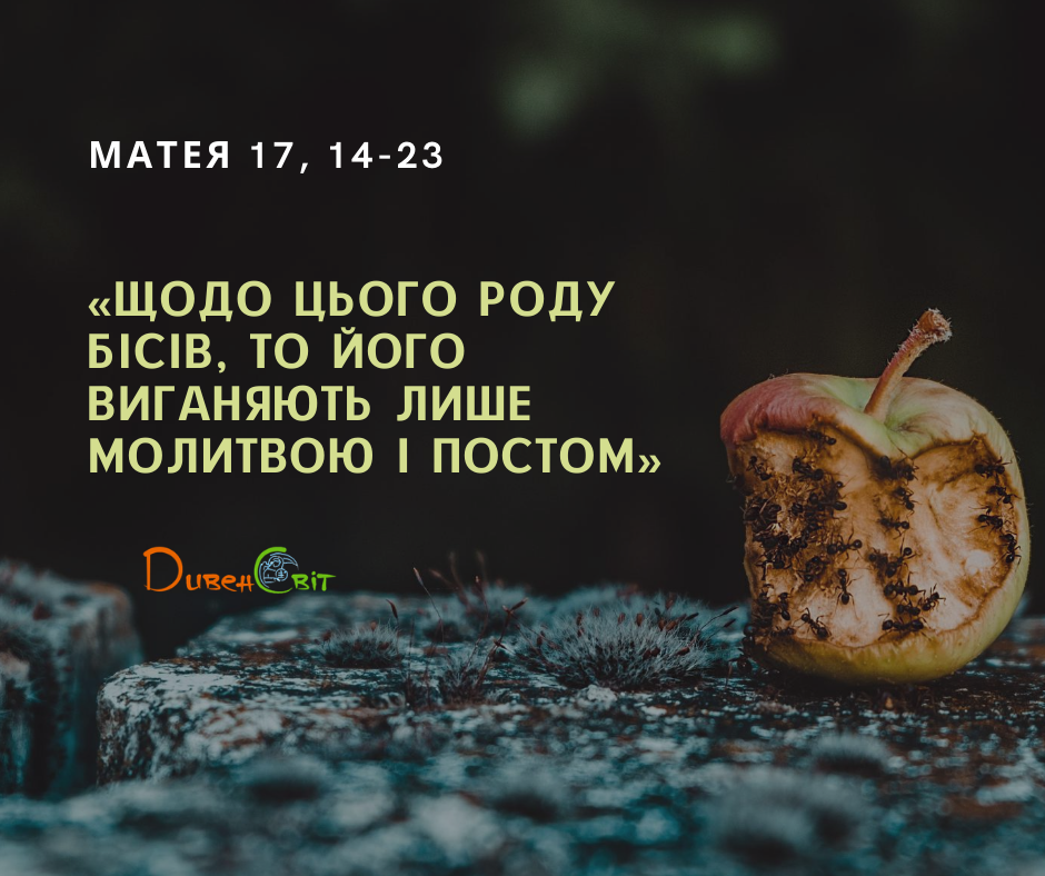 Святе Письмо з розважанням на 29 серпня