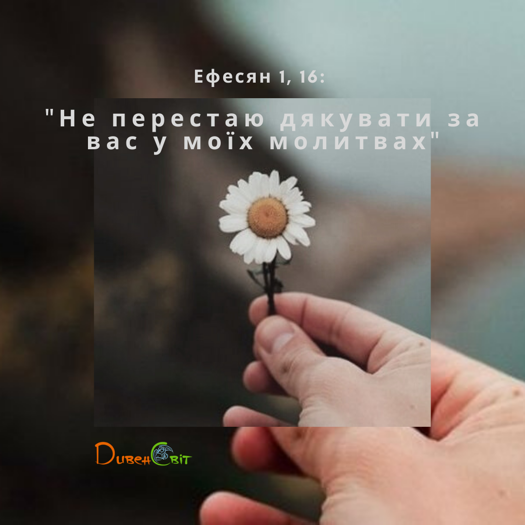Святе Письмо з розважанням на 8 жовтня