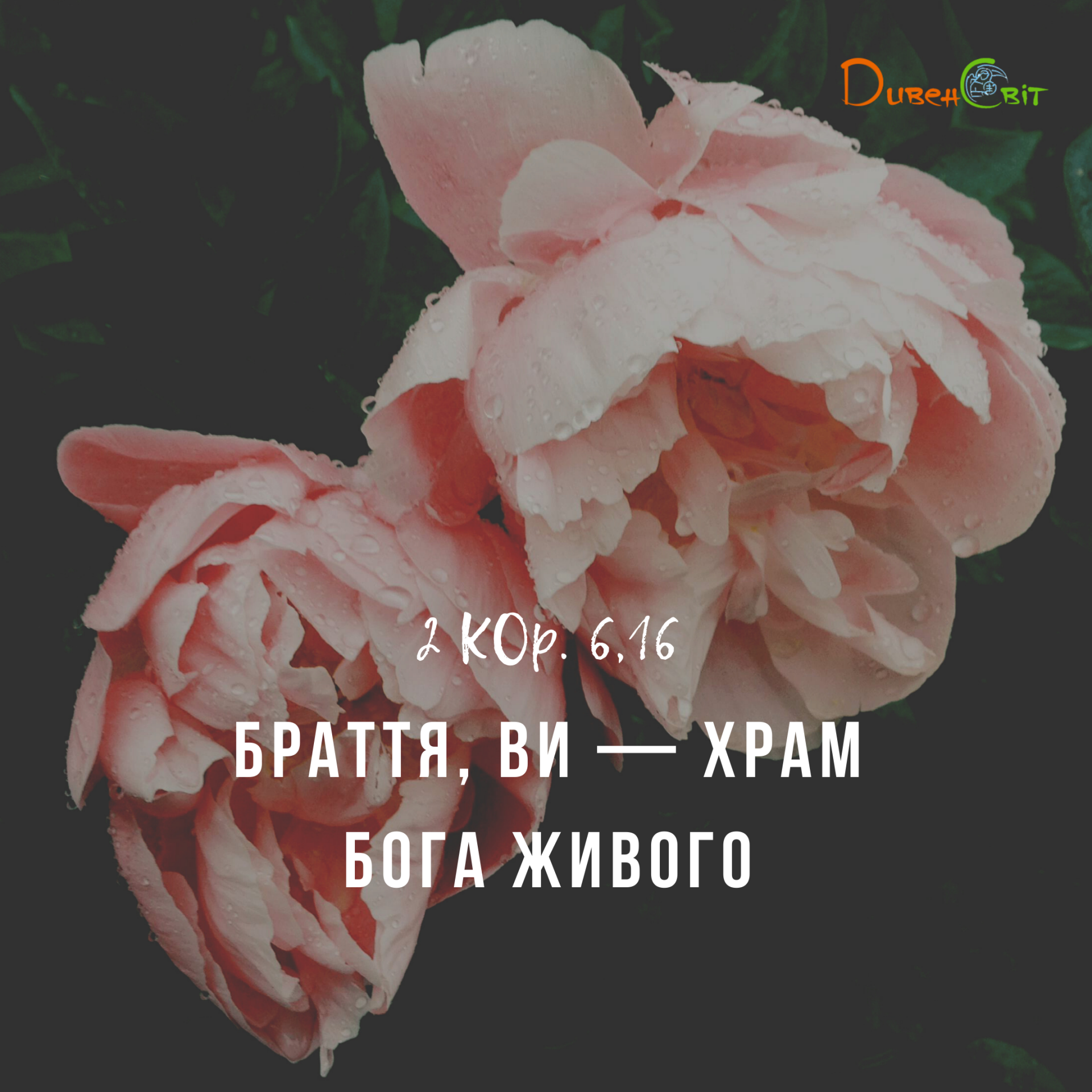 Святе Письмо з розважаннями на 17 жовтня