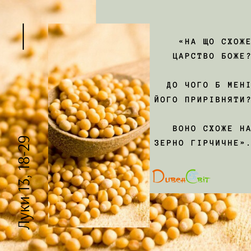 Святе Письмо з розважанням на 1 січня