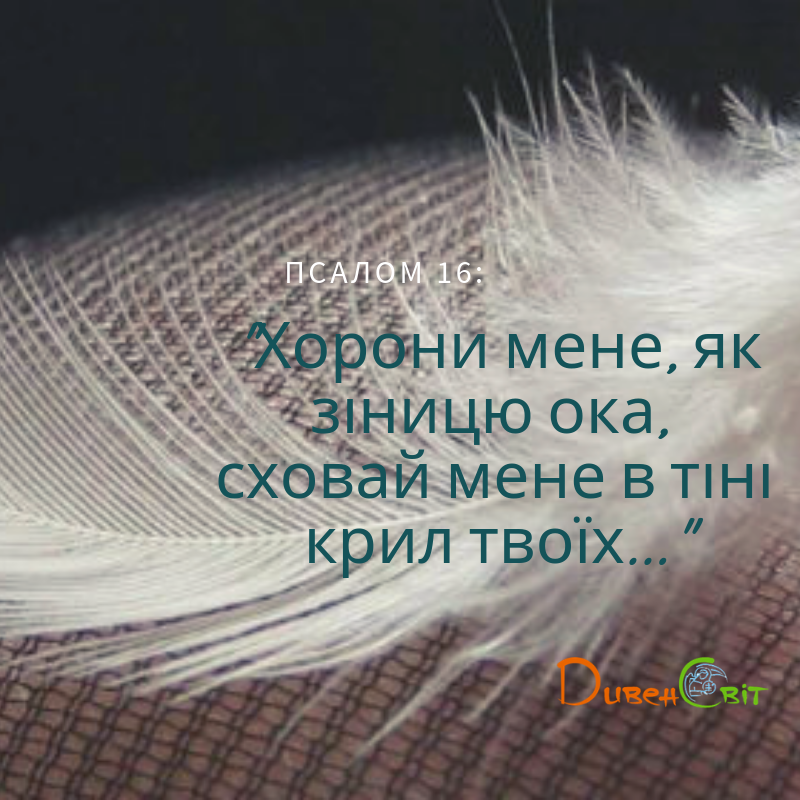Святе Письмо з розважанням на 8 березня